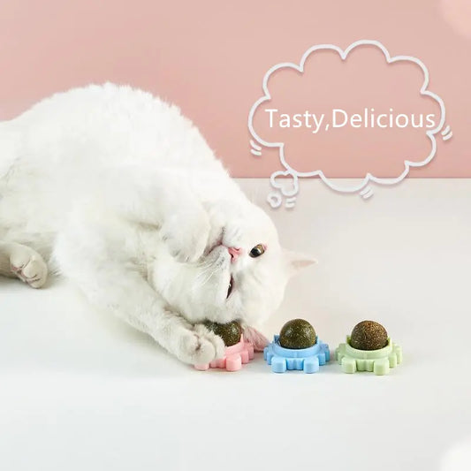 Detachable Crab Catnip Ball Toy for Teeth Cleaning
