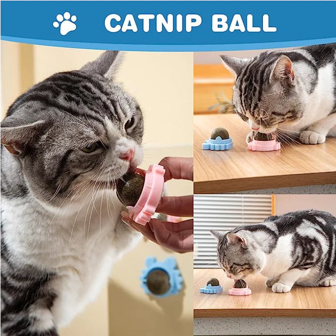 Detachable Crab Catnip Ball Toy for Teeth Cleaning